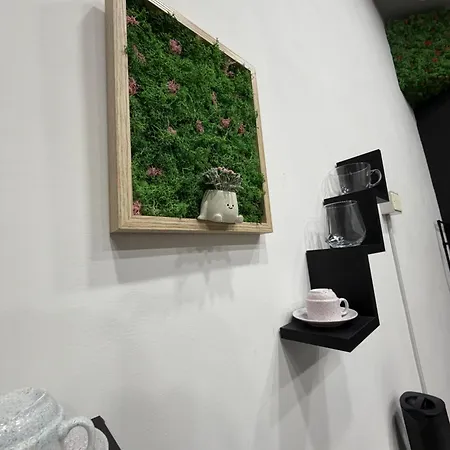 Balbi Soft 3* Caserta